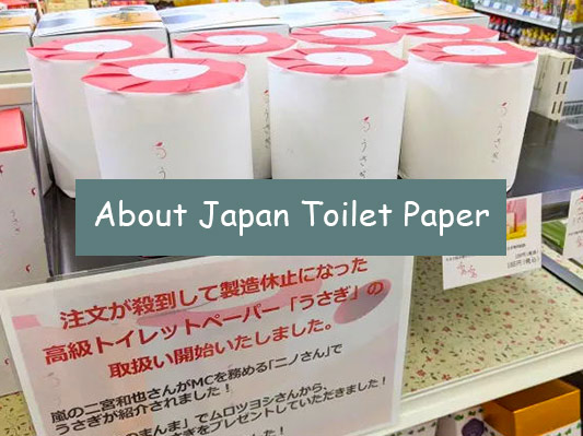 about japanese toilet paper