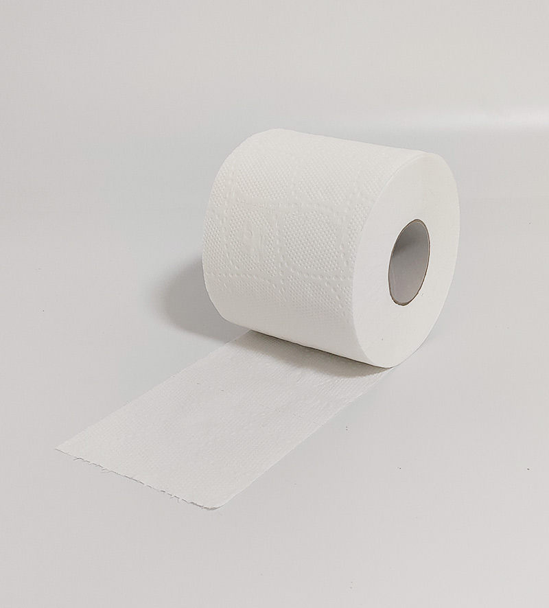 Dissolving Toilet Paper Roll In Septic Tank, RV