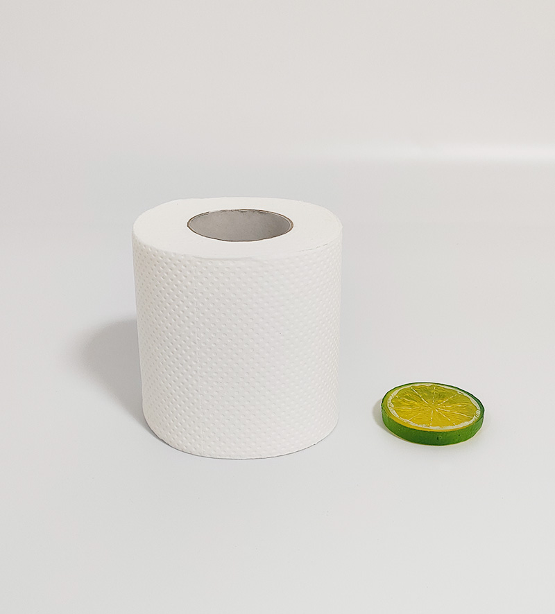 Flushable Toilet Paper Roll That Won't Clog Pipes