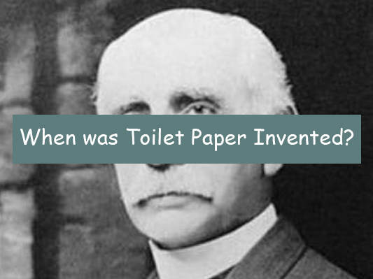 When Was Toilet Paper Invented? What was the History Timeline?