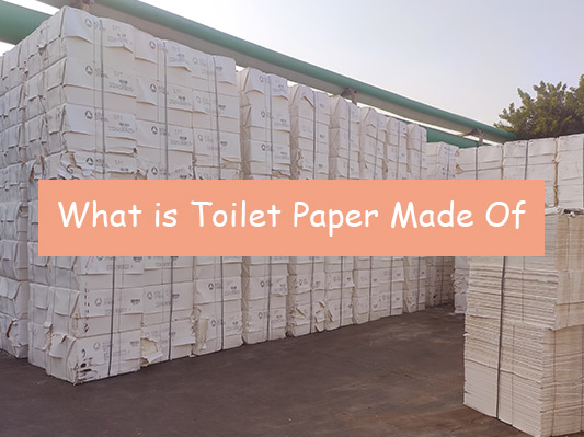 What is Toilet Paper Made Of? And How is it Made?