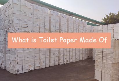 What is Toilet Paper Made Of? And How is it Made?