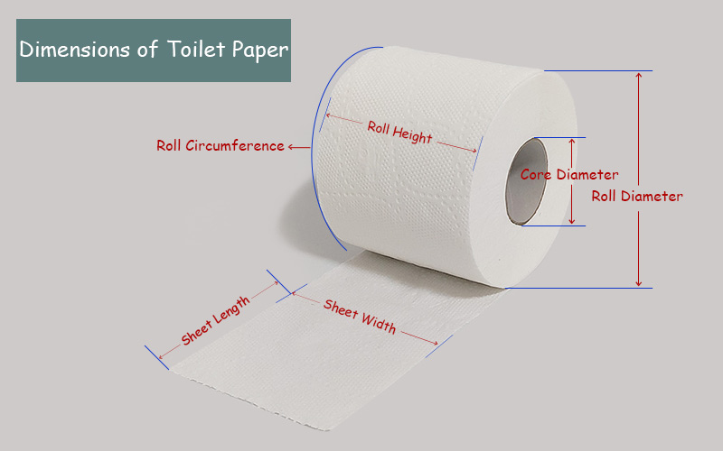 dimensions of a toilet paper