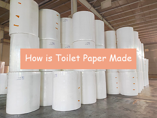 How is Toilet Paper Made Step By Step? Video, Process of 3 Main Materials