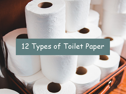 Exploring 12 Types of Toilet Paper: Which is Best?