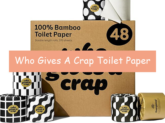 Who Gives A Crap Toilet Paper Review