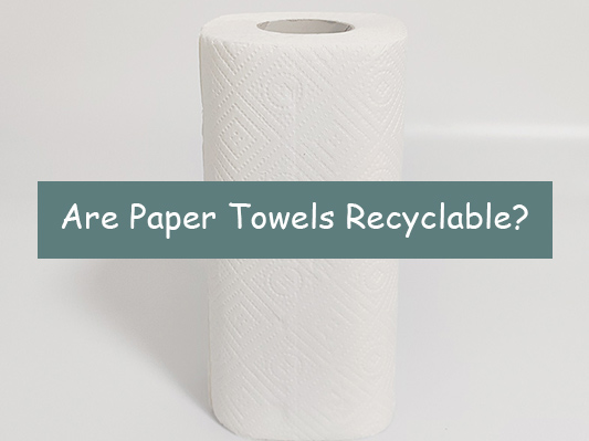 Are Paper Towels Recyclable? What Types of Paper Can Be Recycled?