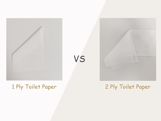 Battle of the Toilet Rolls: 1 Ply vs 2 Ply Toilet Paper